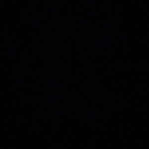 Meet your Posher, Liz